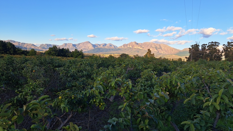4 Bedroom Property for Sale in Paarl Rural Western Cape